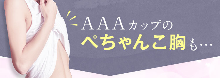 育乳ブラ ハグミー AAAカップのぺちゃんこ胸も