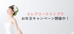 「エレアリーナイトブラ」お年玉キャンペーン開催中!